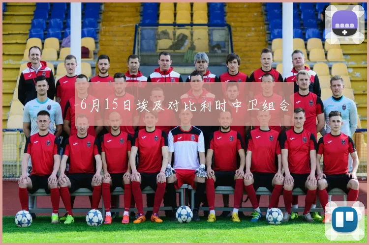 6月15日埃及对比利时中卫组合
