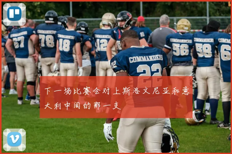 下一场比赛会对上斯洛文尼亚和意大利中间的那一支
