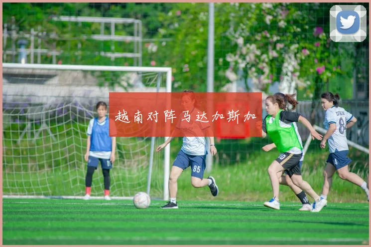越南对阵马达加斯加
