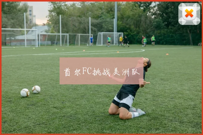 首尔FC挑战美洲队
