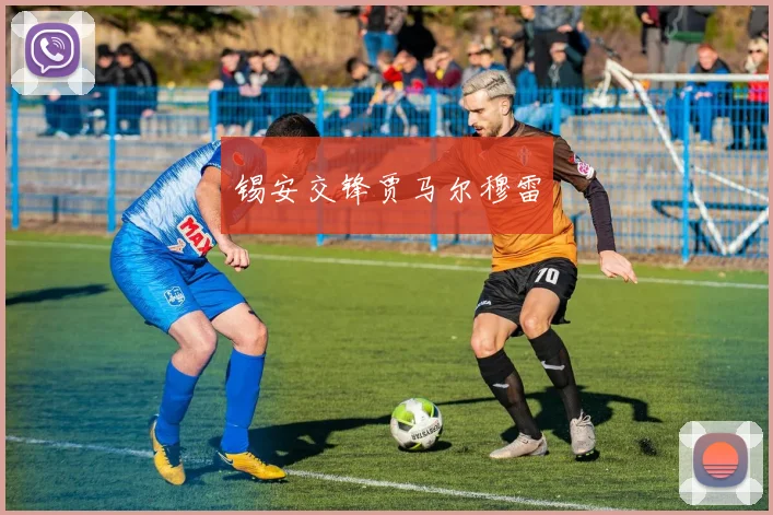 锡安交锋贾马尔穆雷