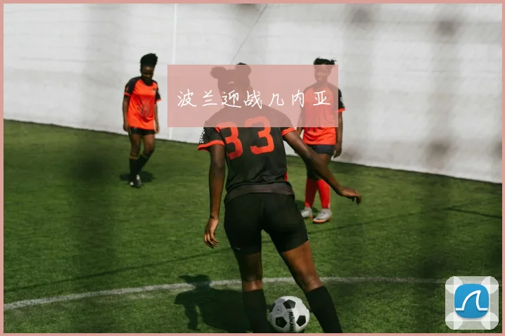波兰迎战几内亚