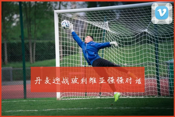 丹麦迎战玻利维亚强强对话