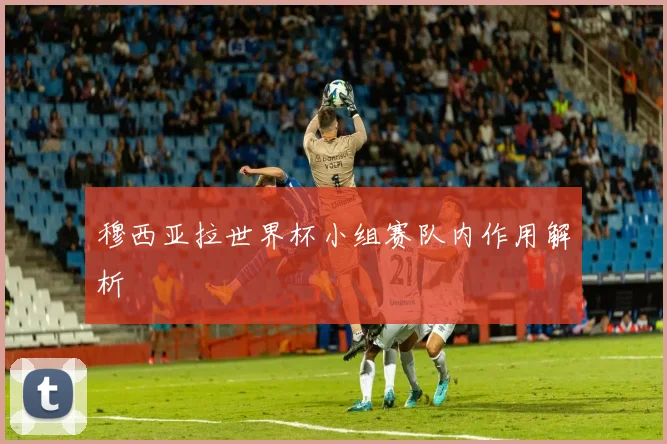 穆西亚拉世界杯小组赛队内作用解析