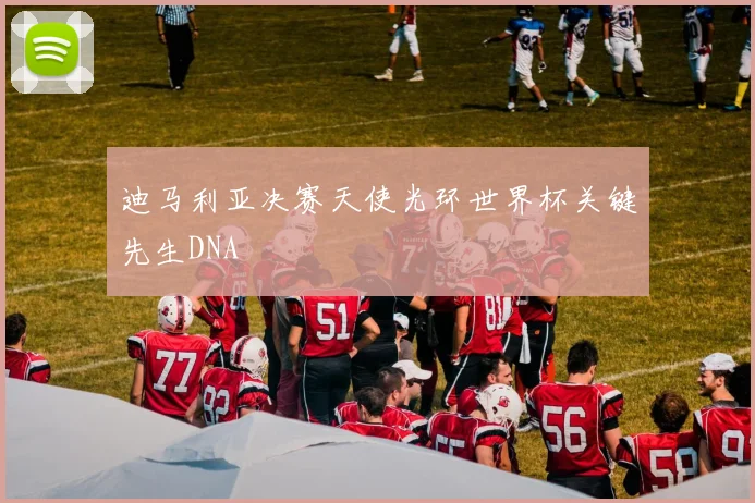 迪马利亚决赛天使光环世界杯关键先生DNA