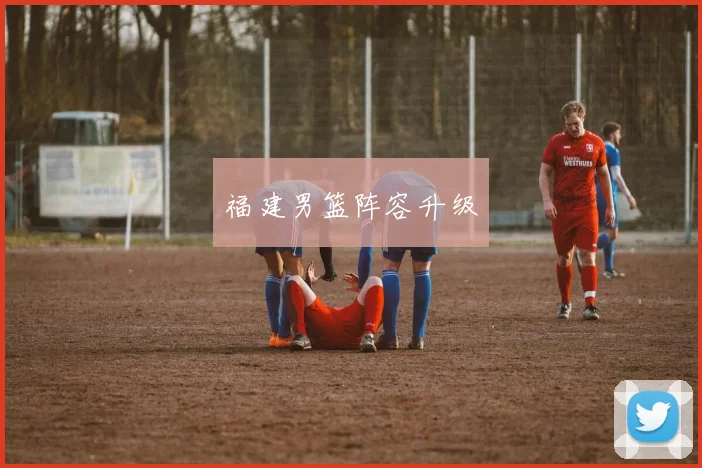 福建男篮阵容升级