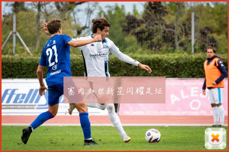 塞内加尔新星闪耀足坛