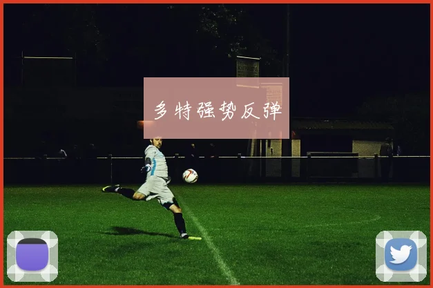 多特强势反弹