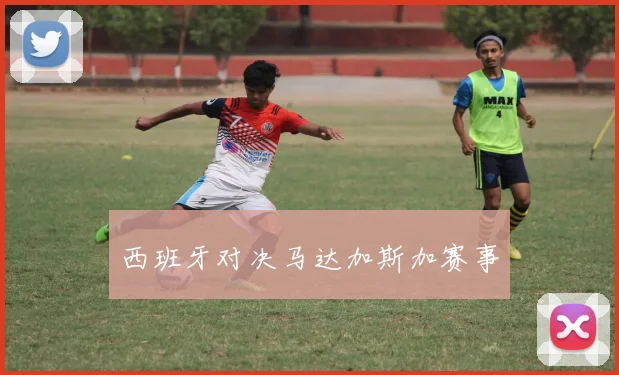 西班牙对决马达加斯加赛事