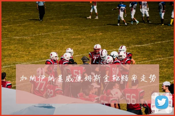 加纳伊纳基威廉姆斯金靴赔率走势