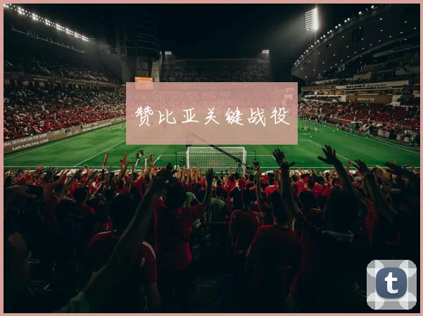 赞比亚关键战役