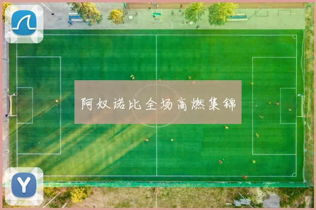 阿奴诺比全场高燃集锦