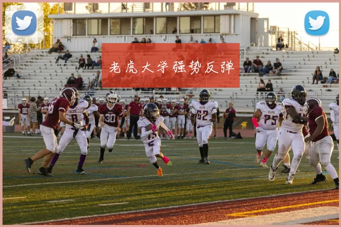 老虎大学强势反弹