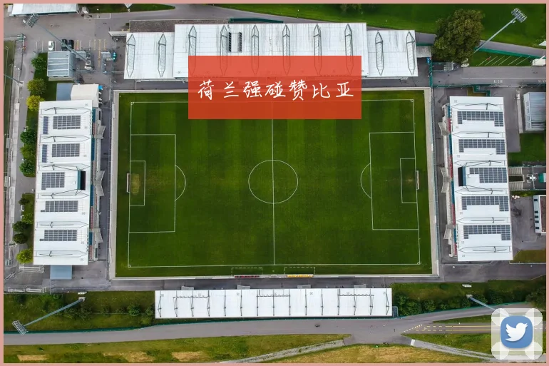 荷兰强碰赞比亚
