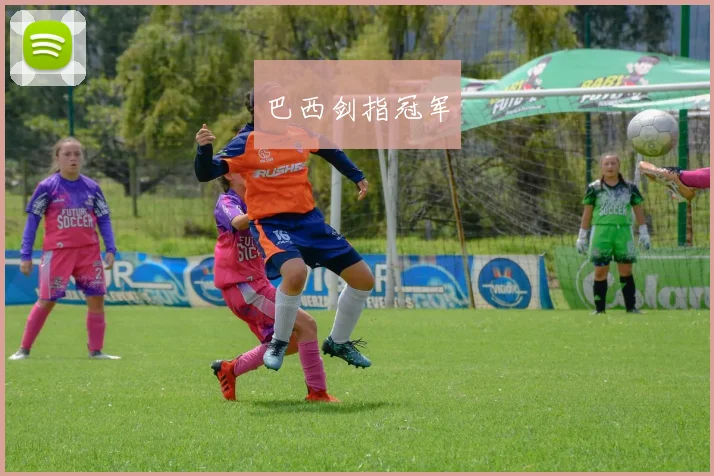 巴西剑指冠军