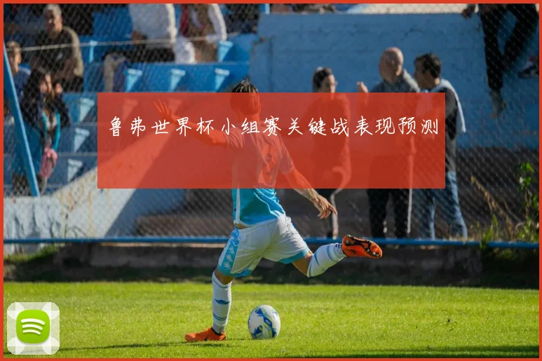 鲁弗世界杯小组赛关键战表现预测