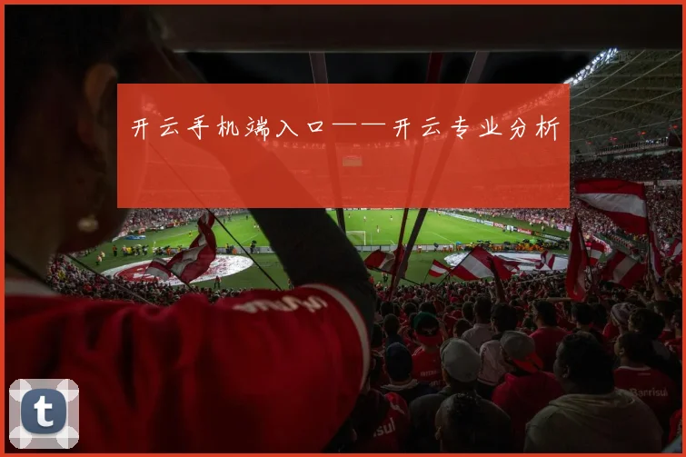 开云手机端入口——开云专业分析