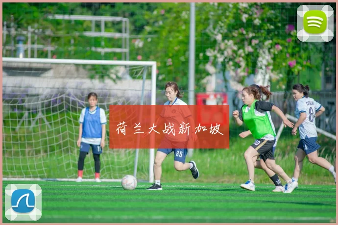荷兰大战新加坡