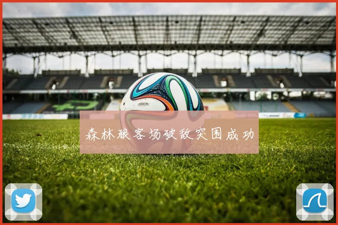 森林狼客场破敌突围成功