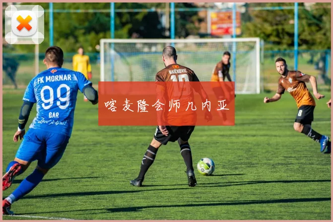 喀麦隆会师几内亚