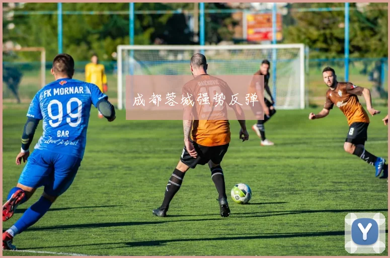 成都蓉城强势反弹