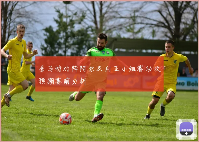奈马特对阵阿尔及利亚小组赛助攻预期赛前分析